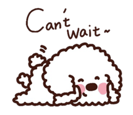 Toypoodle loafs around at home 2 sticker #9958486