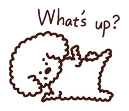 Toypoodle loafs around at home 2 sticker #9958487
