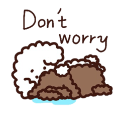 Toypoodle loafs around at home 2 sticker #9958491