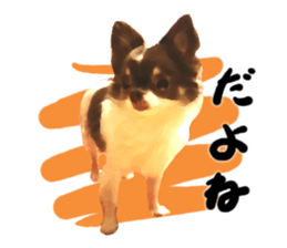 StickerChihuahua2 sticker #9961606