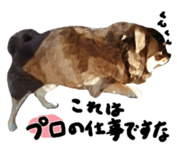 StickerChihuahua2 sticker #9961607