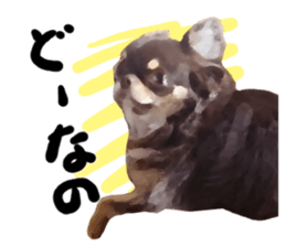 StickerChihuahua2 sticker #9961614