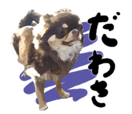 StickerChihuahua2 sticker #9961616