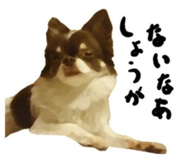 StickerChihuahua2 sticker #9961619