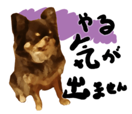 StickerChihuahua2 sticker #9961625