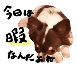 StickerChihuahua2 sticker #9961626