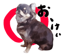 StickerChihuahua2 sticker #9961630