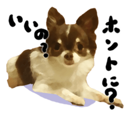 StickerChihuahua2 sticker #9961633