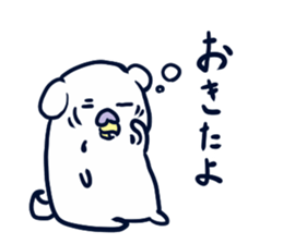 Face our parakeet sticker #9962204