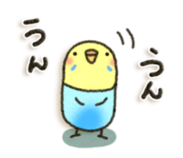 Budgerigar5 sticker #9962612