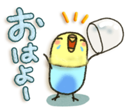 Budgerigar5 sticker #9962620