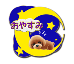 Daily life of toy poodle. sticker #9964005