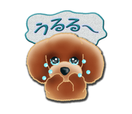 Daily life of toy poodle. sticker #9964028