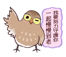 Sugar Sparrow (Sweet Talk) sticker #9967668