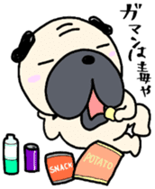 Pugggggggg diet sticker #9968609