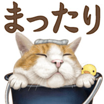 Cat's Message (Brown tiger white) sticker #9969512