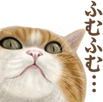 Cat's Message (Brown tiger white) sticker #9969515