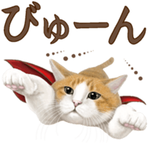 Cat's Message (Brown tiger white) sticker #9969520