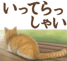 Cat's Message (Brown tiger white) sticker #9969522