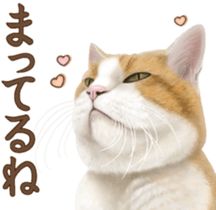 Cat's Message (Brown tiger white) sticker #9969523