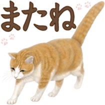Cat's Message (Brown tiger white) sticker #9969524