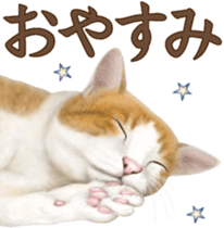 Cat's Message (Brown tiger white) sticker #9969529