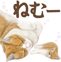 Cat's Message (Brown tiger white) sticker #9969530