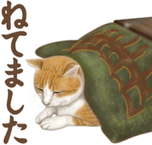 Cat's Message (Brown tiger white) sticker #9969531