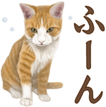 Cat's Message (Brown tiger white) sticker #9969532