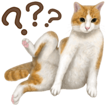 Cat's Message (Brown tiger white) sticker #9969535