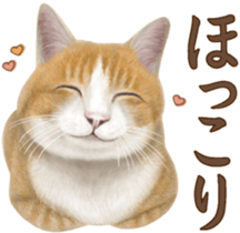 Cat's Message (Brown tiger white) sticker #9969537