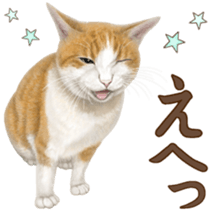 Cat's Message (Brown tiger white) sticker #9969540