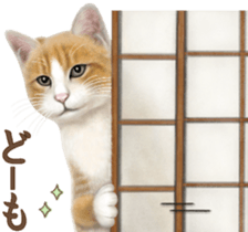 Cat's Message (Brown tiger white) sticker #9969544
