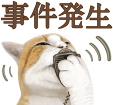 Cat's Message (Brown tiger white) sticker #9969548