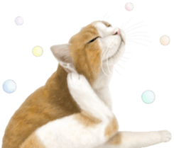 Cat's Message (Brown tiger white) sticker #9969551