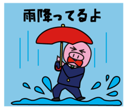 This is not a pig .. ordinary pig sticker #9974122