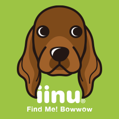 iinu - Irish Setter