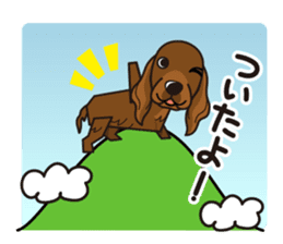 iinu - Irish Setter sticker #9975666