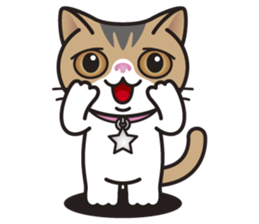 SOPHIE the Exotic Shorthair Cat sticker #9978433