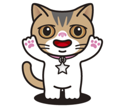 SOPHIE the Exotic Shorthair Cat sticker #9978434