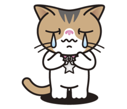 SOPHIE the Exotic Shorthair Cat sticker #9978436