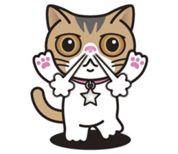 SOPHIE the Exotic Shorthair Cat sticker #9978438