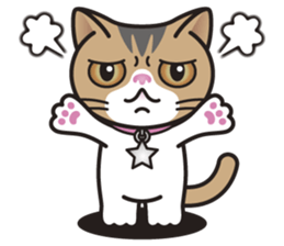 SOPHIE the Exotic Shorthair Cat sticker #9978439
