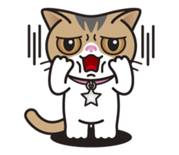 SOPHIE the Exotic Shorthair Cat sticker #9978440