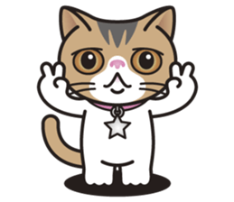 SOPHIE the Exotic Shorthair Cat sticker #9978444
