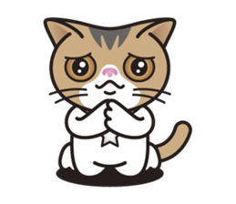 SOPHIE the Exotic Shorthair Cat sticker #9978445