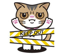 SOPHIE the Exotic Shorthair Cat sticker #9978447