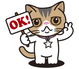 SOPHIE the Exotic Shorthair Cat sticker #9978448