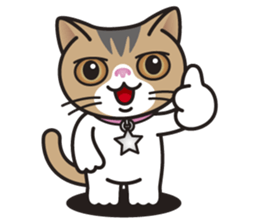 SOPHIE the Exotic Shorthair Cat sticker #9978450