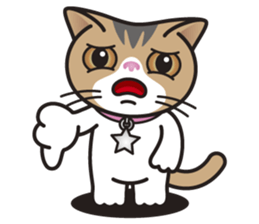 SOPHIE the Exotic Shorthair Cat sticker #9978451